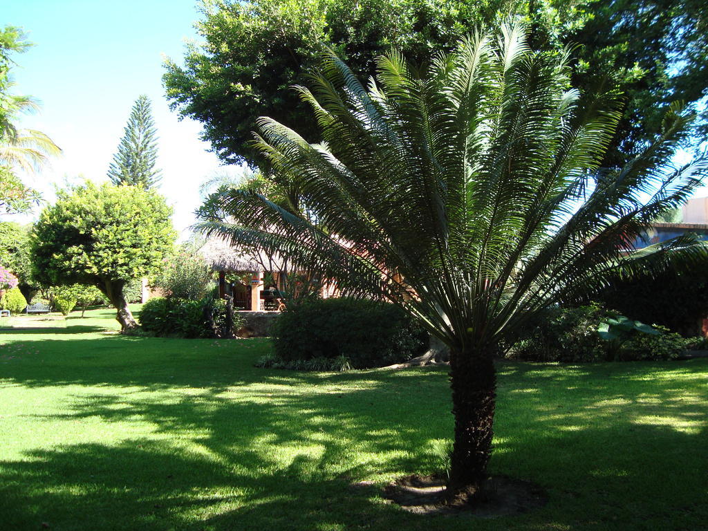 Casa Marly Ξενοδοχείο Xochitepec Εξωτερικό φωτογραφία